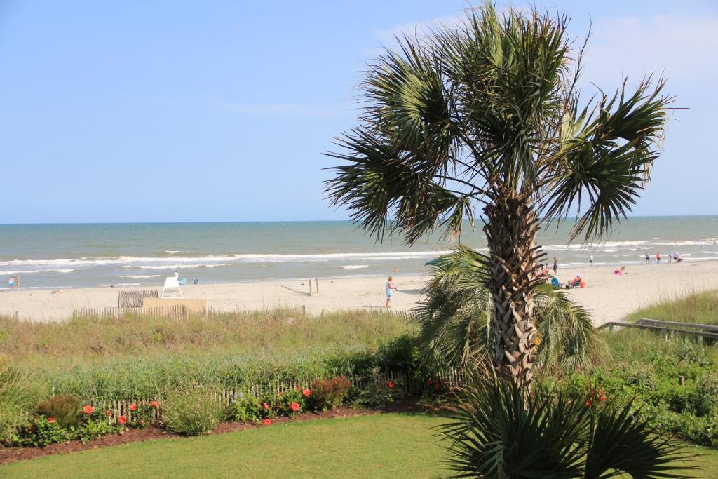 Jade Tree Cove Hotel Myrtle Beach Exterior foto