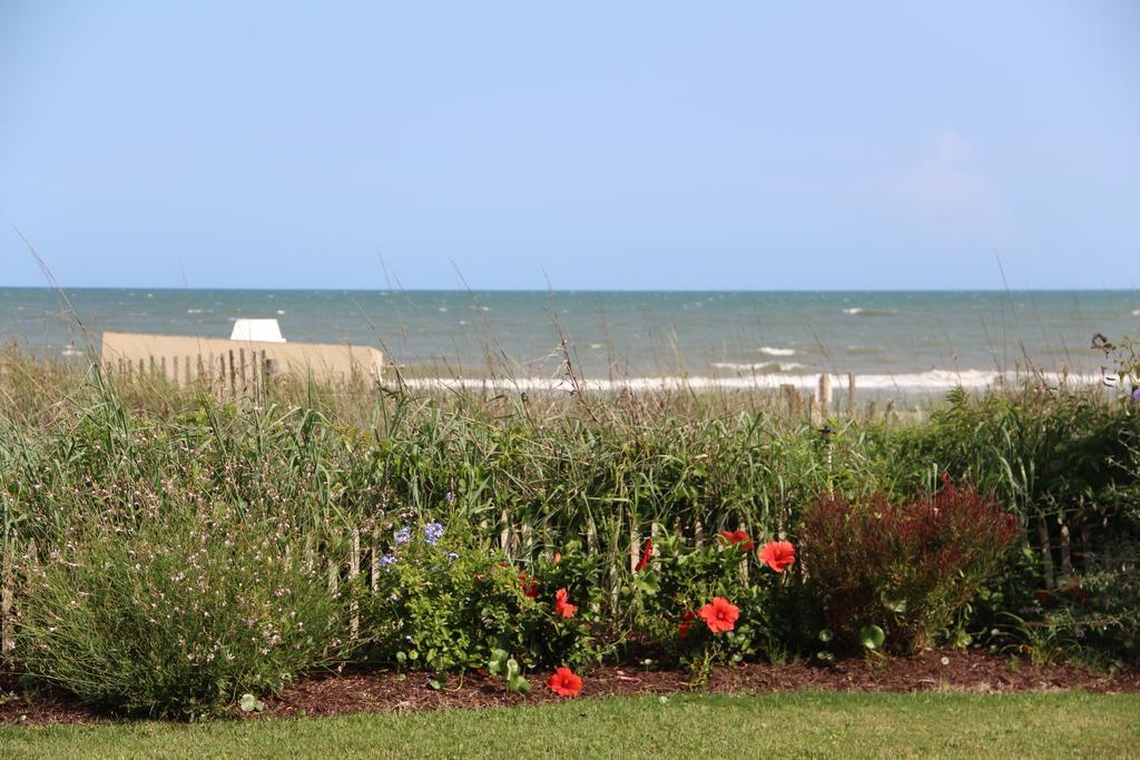 Jade Tree Cove Hotel Myrtle Beach Exterior foto